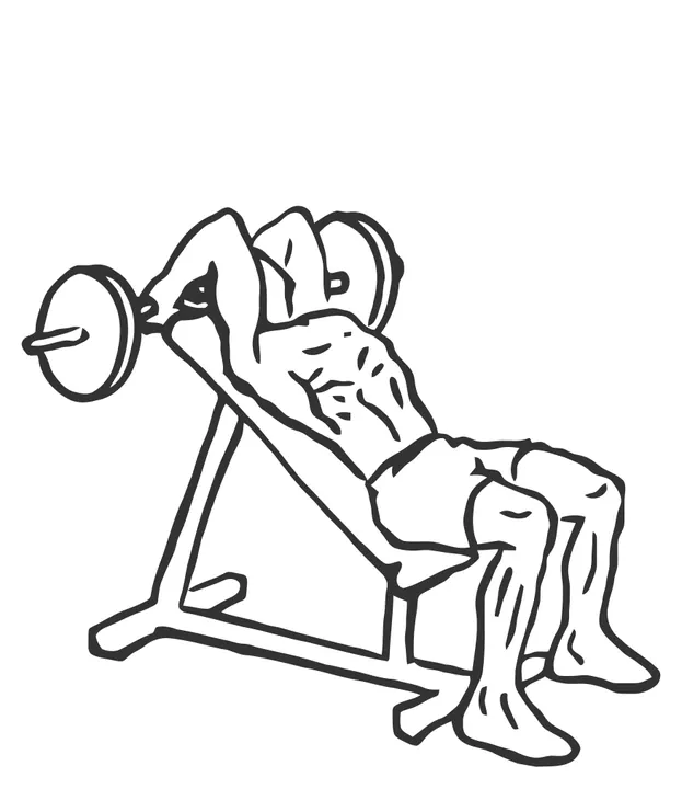 Incline Barbell Triceps Extension — end position