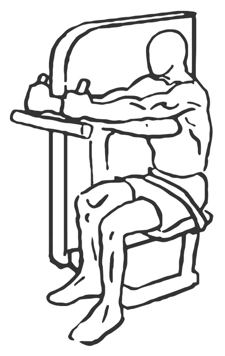 Seated Triceps Extension Machine — end position