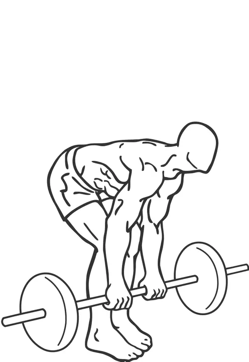 Barbell Romanian Deadlift — end position