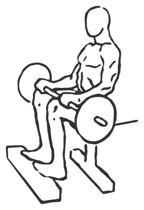 Seated Barbell Calf Raise — start position