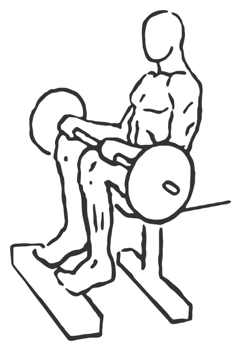 Seated Barbell Calf Raise — end position