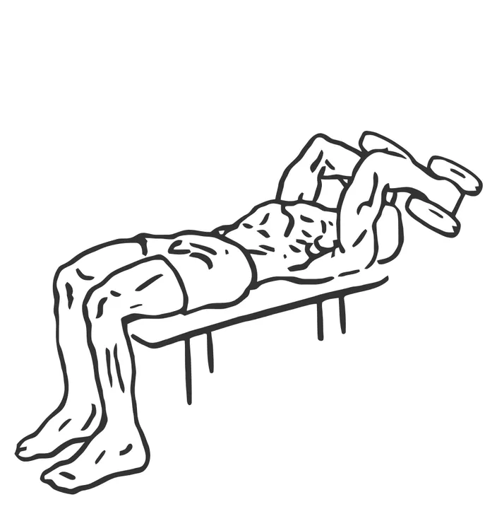 Lying Dumbbell Triceps Extension — end position