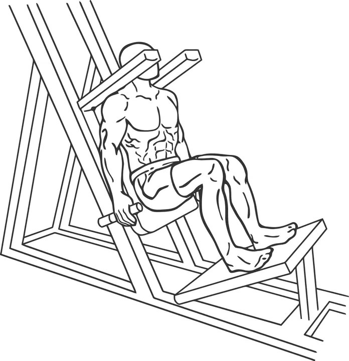 Machine Hack Squat — end position