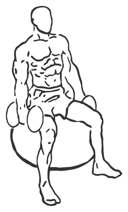 Seated Stability Ball Dumbbell Curl — start position