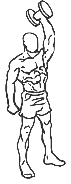 Standing One-Arm Overhead Dumbbell Triceps Extension — start position