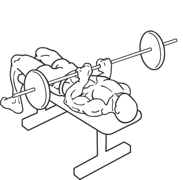 Close-Grip Bench Press — end position