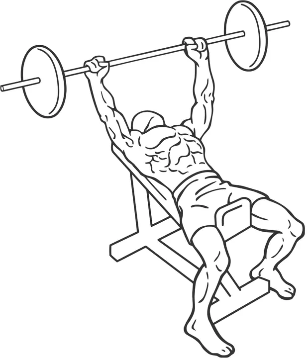 Incline Barbell Bench Press — start position