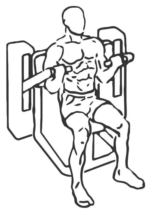 Machine Biceps Curl — end position