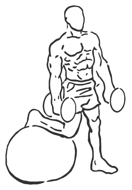 Dumbbell Curl with Rear Foot on Stability Ball — start position
