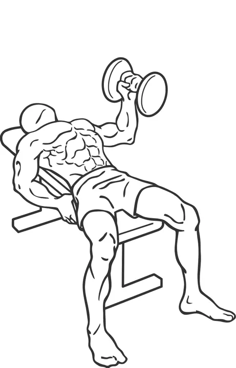 One-Arm Flat Bench Dumbbell Fly — end position