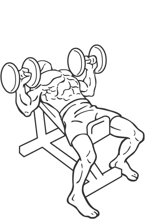 Incline Dumbbell Press — end position