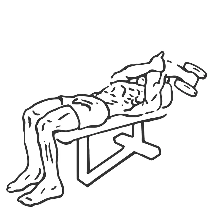 Lying One-Arm Supinated Dumbbell Triceps Extension — end position