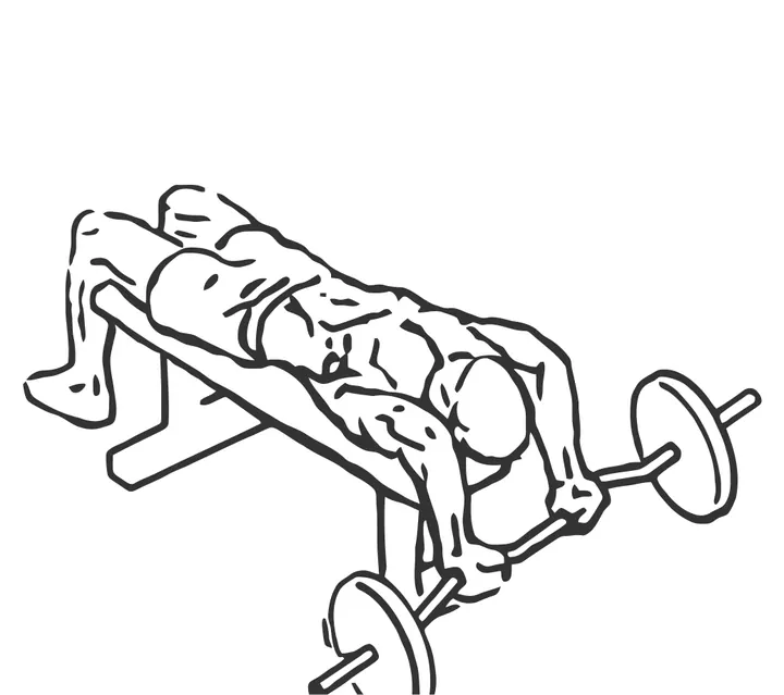 Decline EZ-Bar Triceps Extension — end position