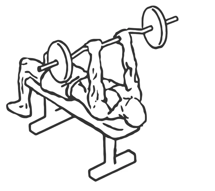 Decline EZ-Bar Triceps Extension — start position