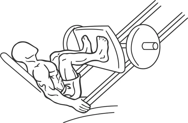 Narrow-Stance Leg Press — end position