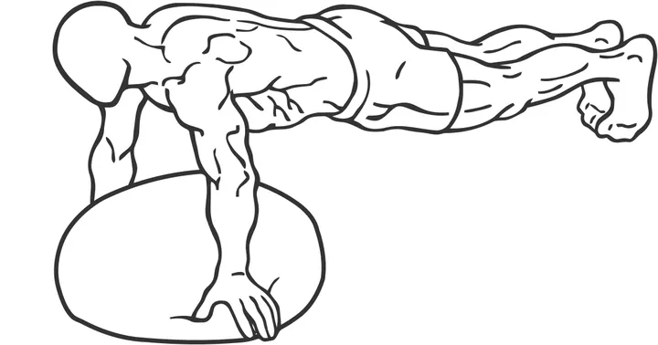 BOSU Push-Up — start position
