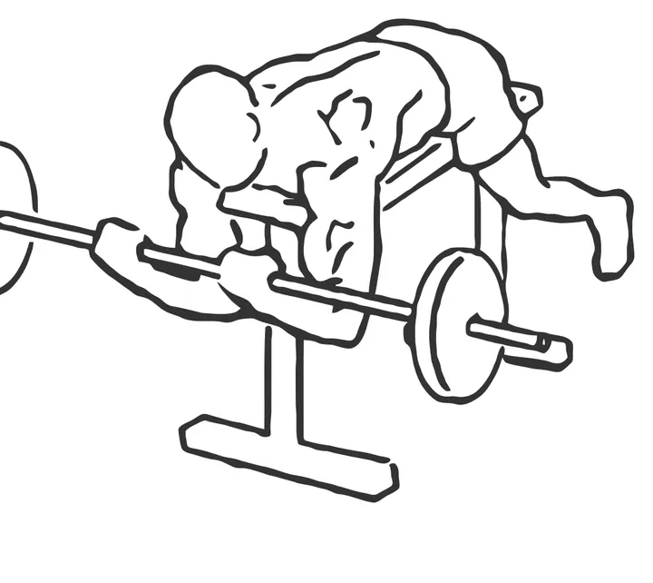 Prone High-Bench Barbell Curl — end position