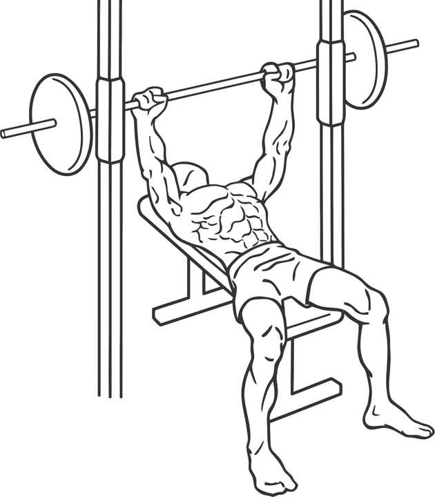 Smith Machine Bench Press — start position