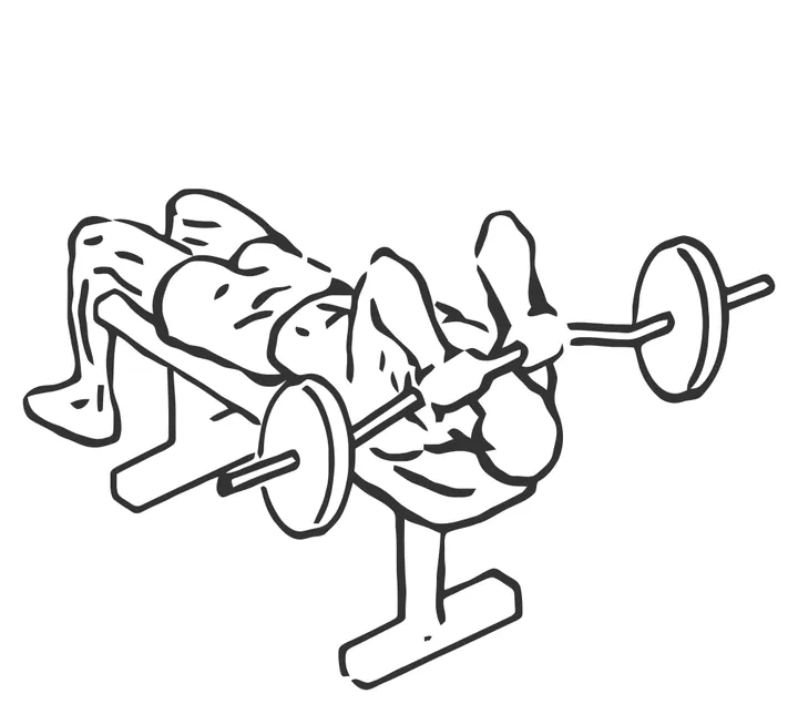 Lying Close-Grip Barbell Triceps Press to Chin — end position