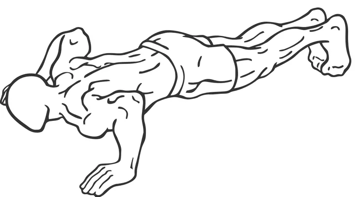 Push-Up — end position