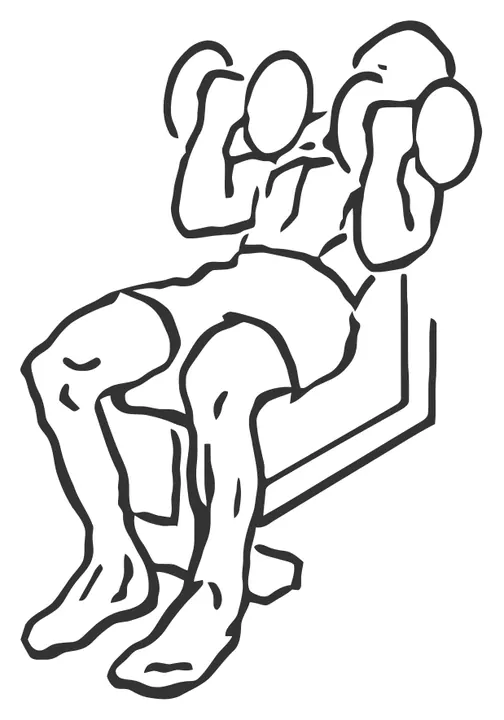Incline Dumbbell Curl — end position