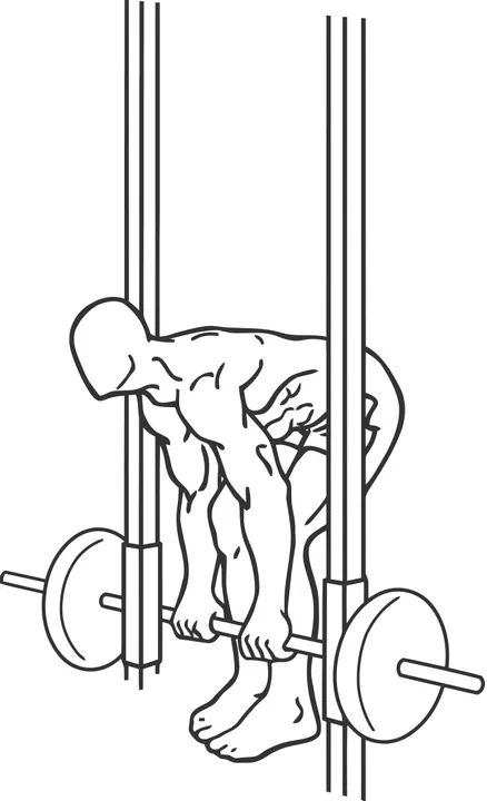 Smith Machine Stiff-Leg Deadlift — end position