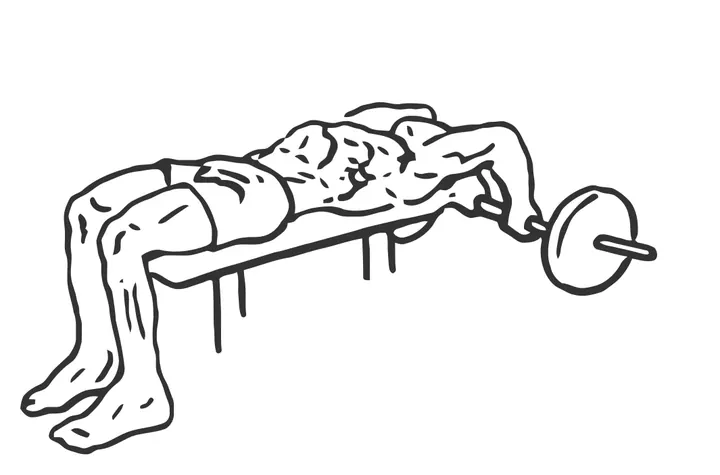 Lying Barbell Triceps Extension Behind the Head — end position