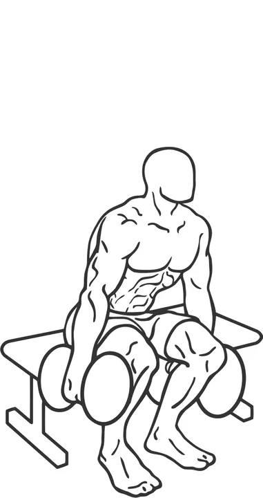 Dumbbell Squat to Bench — end position