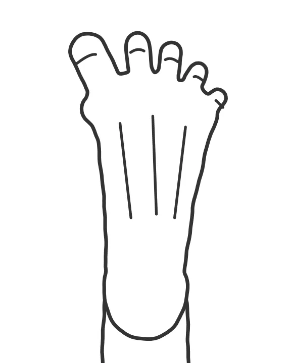Toe Spread and Squeeze — end position