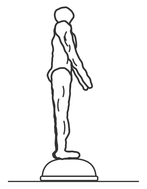 BOSU Squat — start position