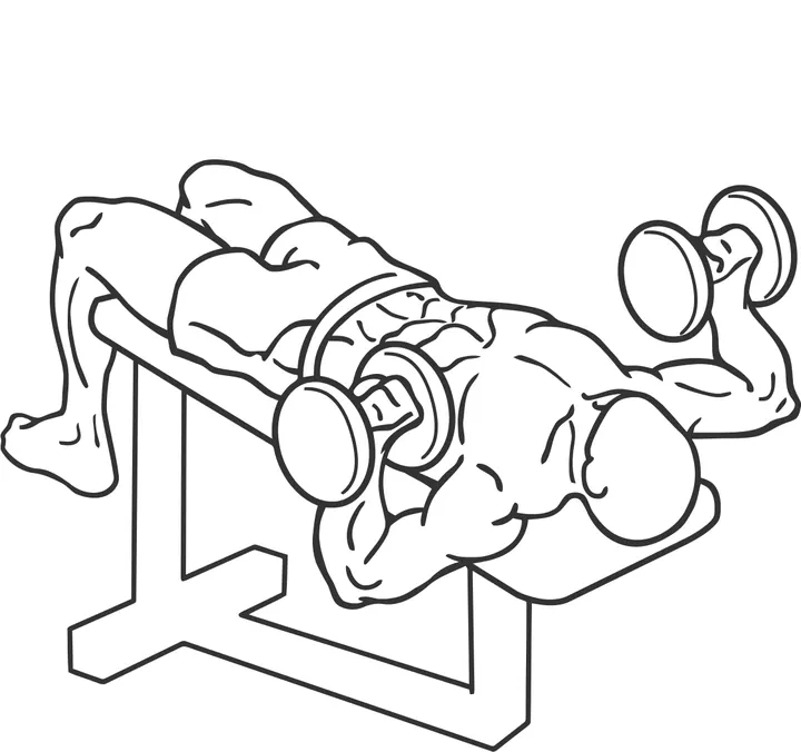 Decline Dumbbell Bench Press — end position