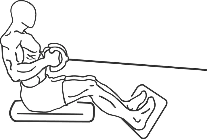 Seated Cable Row — end position