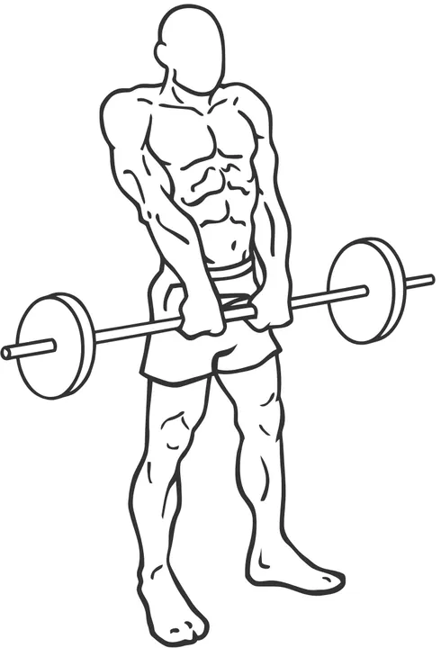 Barbell Shrug — end position
