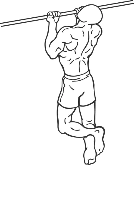 Chin-Up — end position