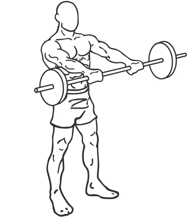 Barbell Front Raise — end position