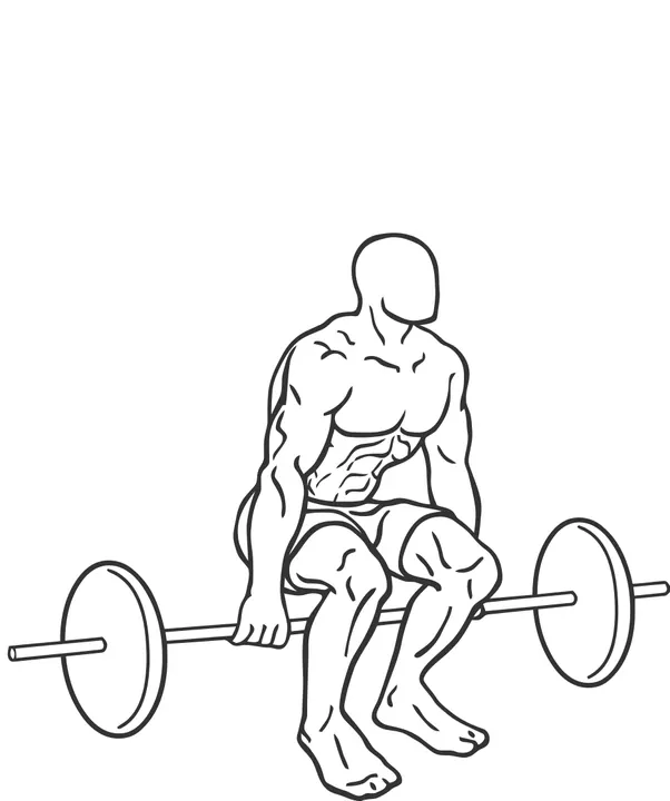 Barbell Hack Squat — end position