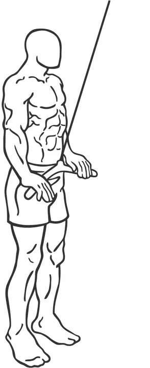 Straight-Arm Pulldown — end position