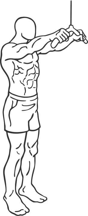 Straight-Arm Pulldown — start position