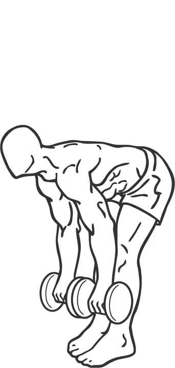Dumbbell Stiff-Leg Deadlift — end position