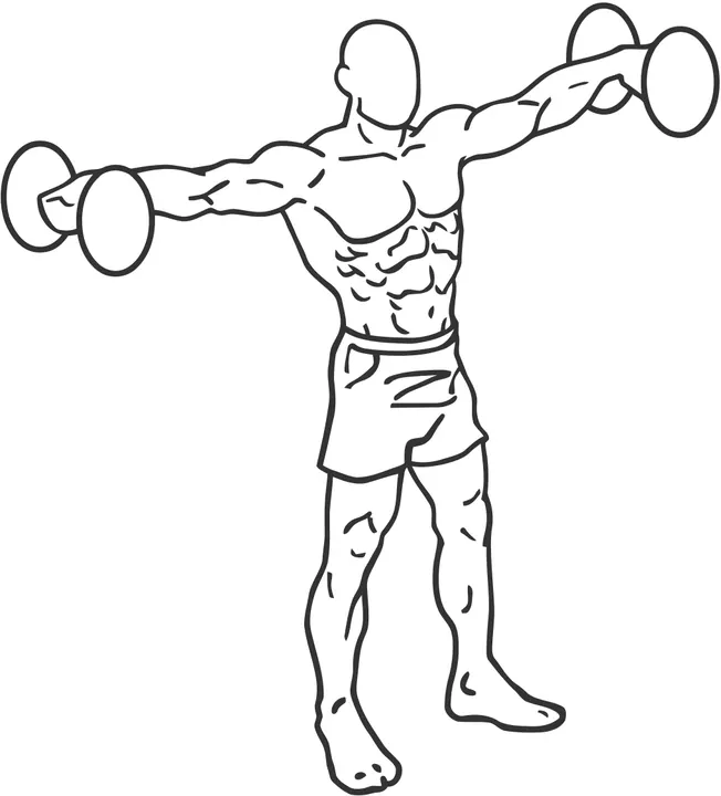 Dumbbell Lateral Raise — end position
