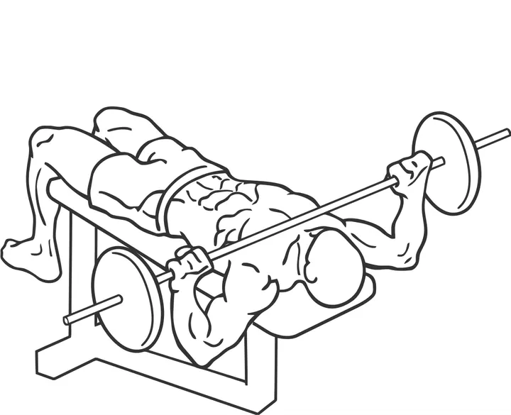 Decline Wide-Grip Barbell Bench Press — end position