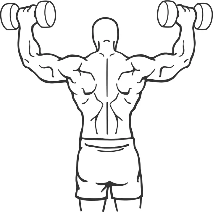 Dumbbell Cuban Press — end position
