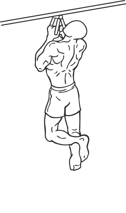 Close Neutral-Grip Chin-Up — end position