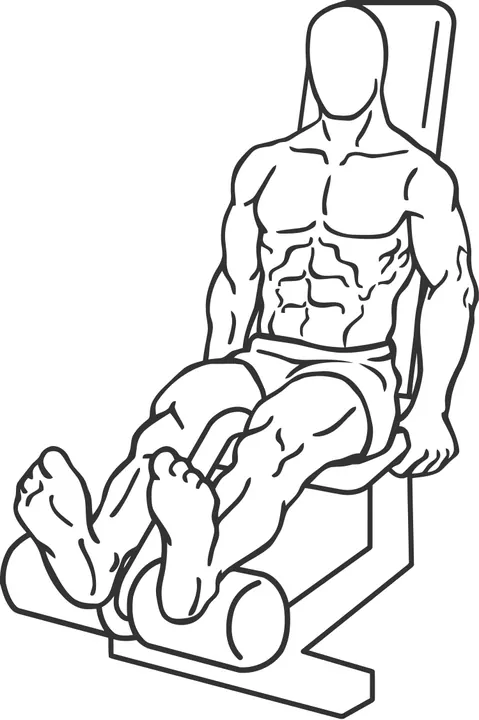 Seated Leg Curl — end position