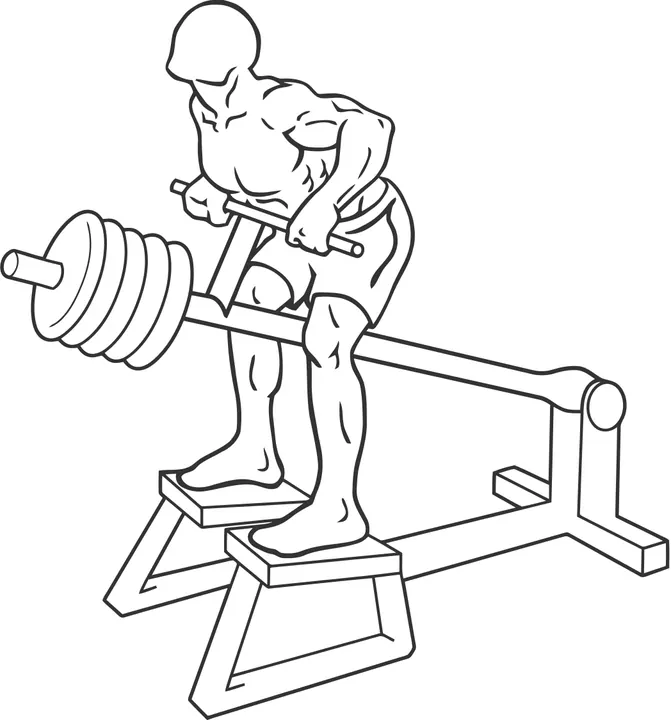 T-Bar Row — end position