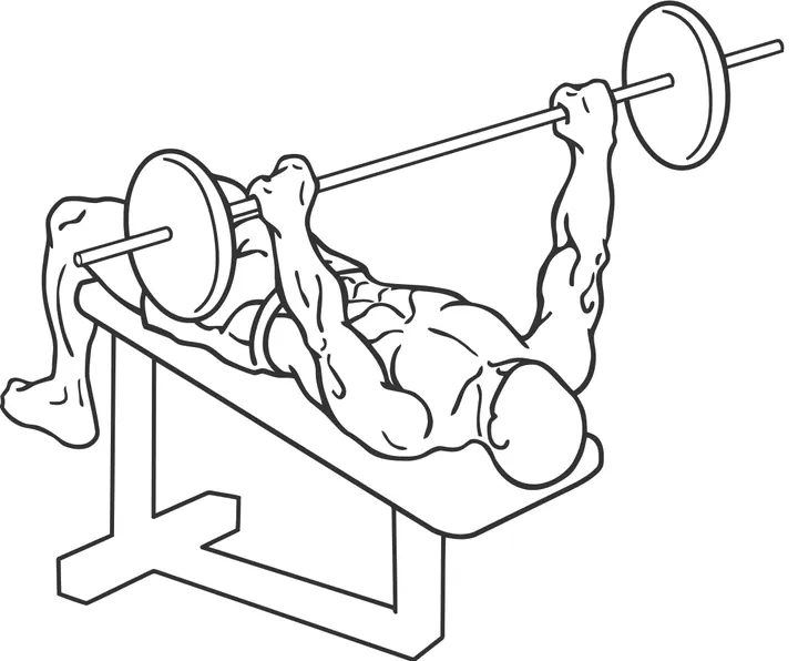 Decline Barbell Bench Press — start position