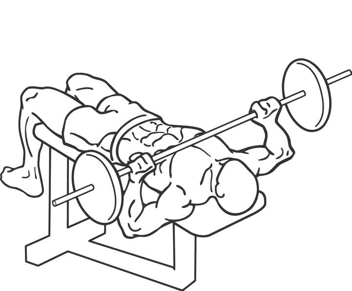 Decline Barbell Bench Press — end position