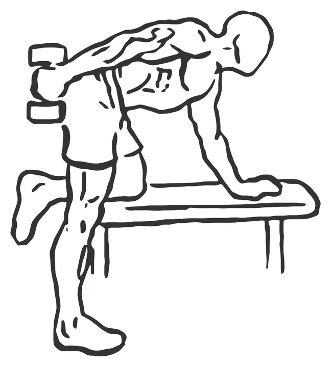 Dumbbell Triceps Kickback — end position