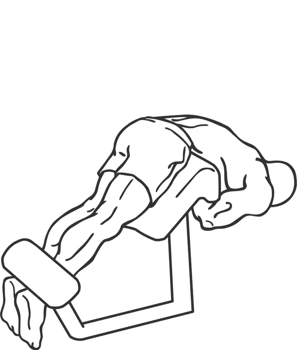 Back Extension — end position
