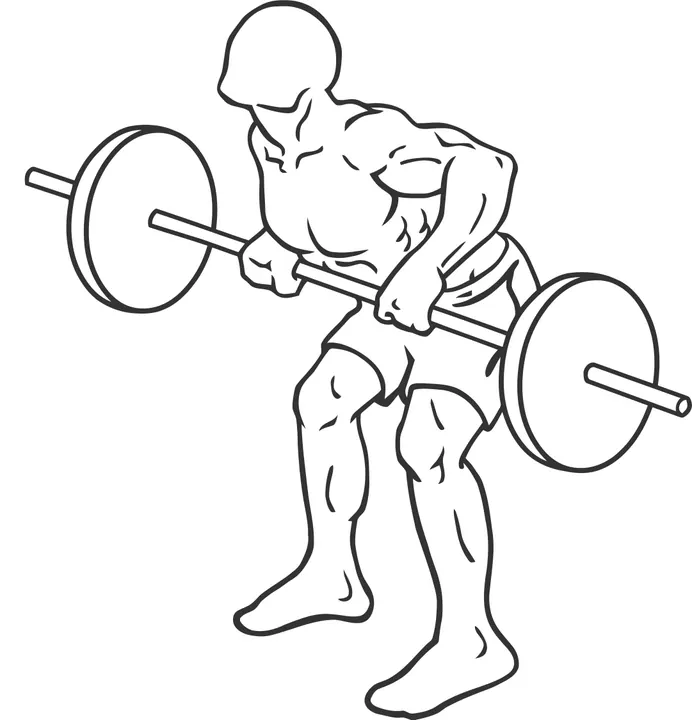Wide-Grip Barbell Rear Delt Row — end position